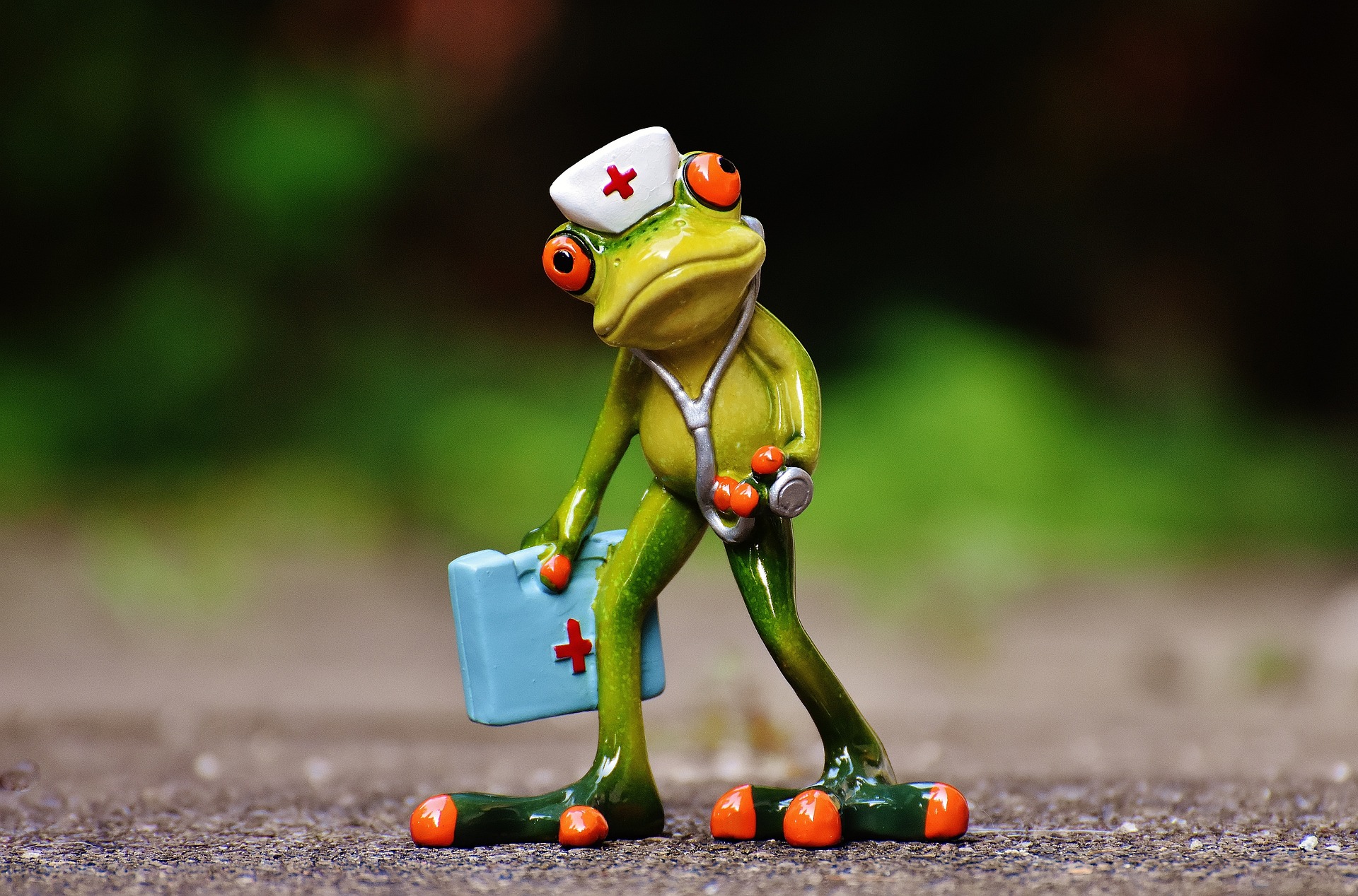 Doktor